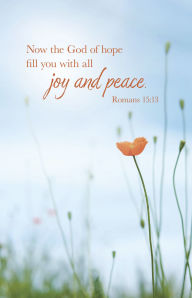 Title: General Worship Bulletin: All Joy (Package of 100): Romans 15:13 (KJV), Author: Broadman Church Supplies Staff
