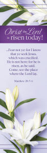 Title: Easter Bookmark: Christ the Lord is Risen Today (Package of 25): Matthew 28:5-6 (KJV), Author: Broadman Church Supplies Staff