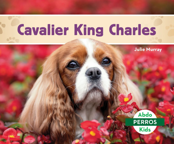 Cavalier King Charles (Cavalier King Charles Spaniels)