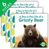 Title: Day in the Life of an Animal (Set), Author: Abdo Publishing Company