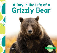 Title: Day in the Life of a Grizzly Bear, Author: Julie Murray