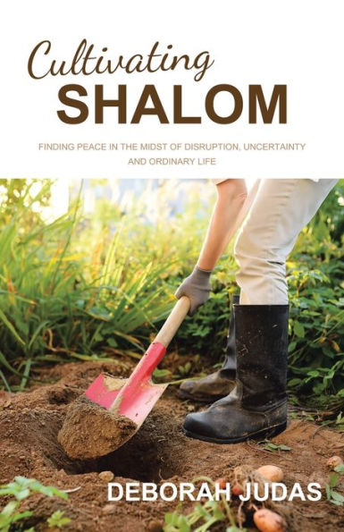 Cultivating Shalom: Finding peace the midst of disruption, uncertainty and ordinary life