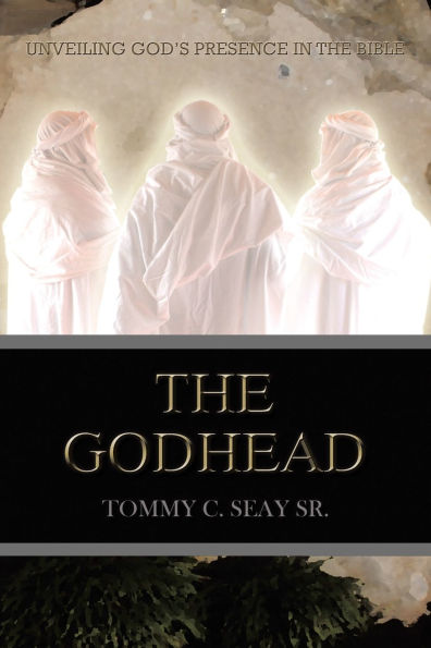 The Godhead: Unveiling God's Presence Bible