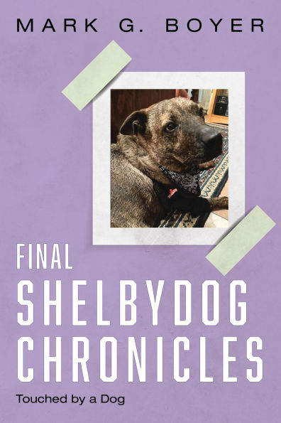Final Shelbydog Chronicles: Touched by a Dog