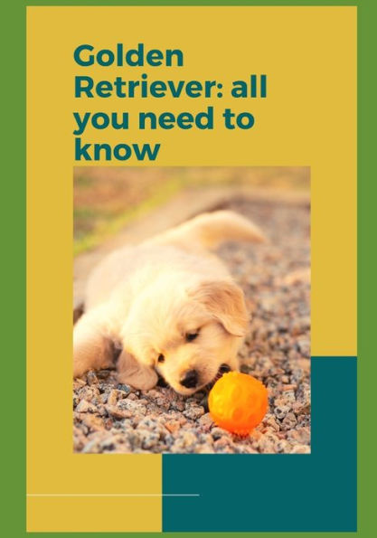 Golden Retriever: All you need to know!
