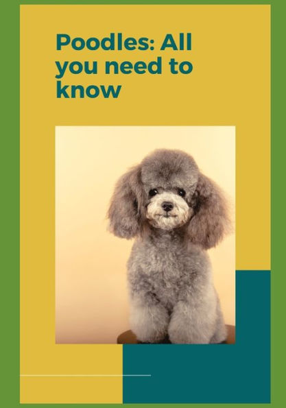 Poodles: All you need to know!