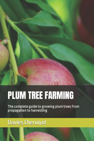 PLUM TREE FARMING: The complete guide to growing plum trees from propagation to harvesting