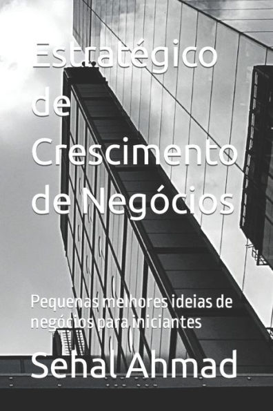 Estratï¿½gico de Crescimento de Negï¿½cios: Pequenas melhores ideias de negï¿½cios para iniciantes