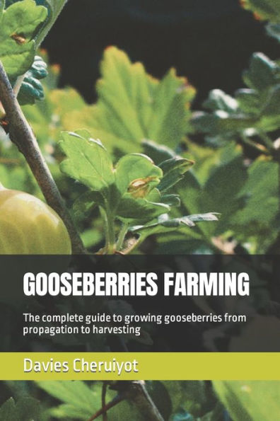 GOOSEBERRIES FARMING: The complete guide to growing gooseberries from propagation to harvesting