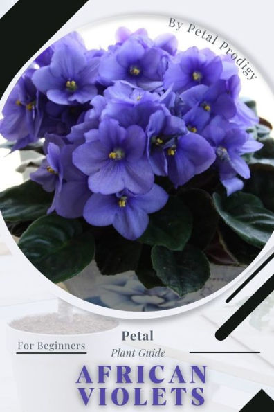 African Violets: Prodigy Petal, Plant Guide