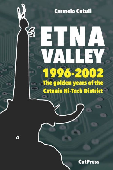 Etna Valley: the golden years of Catania Hi-Tech District (1996-2002)