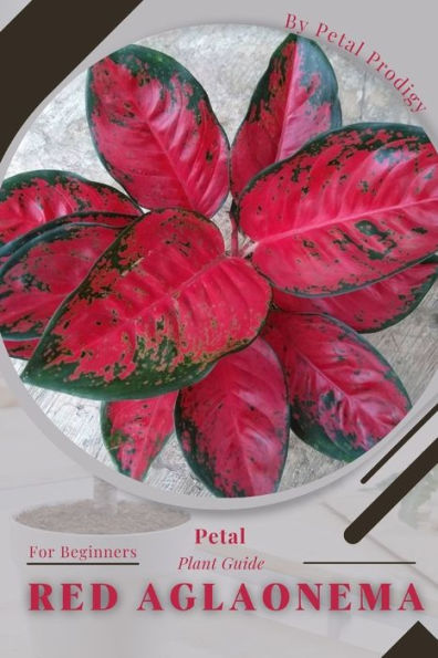 Red Aglaonema: Prodigy Petal, Plant Guide
