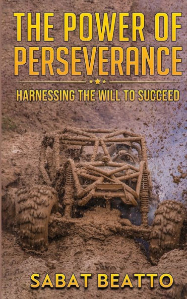 THE POWER OF PERSEVERANCE: HARNESSING THE WILL TO SUUCCED