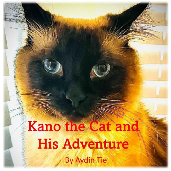 Kano the Cat and His Adventure
