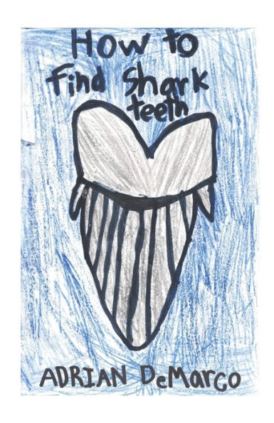 How to Find Shark teeth