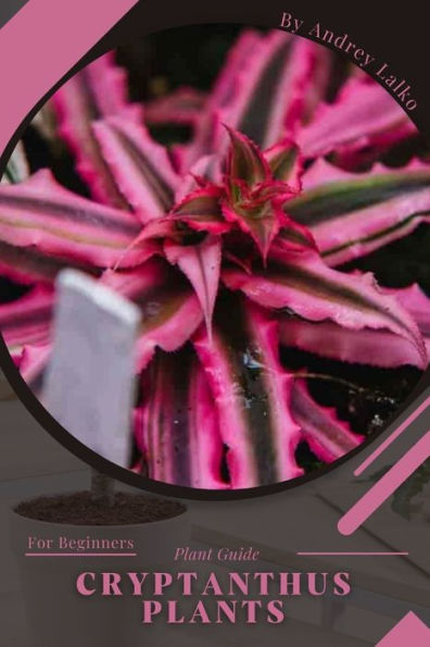 Cryptanthus Plants: Plant Guide