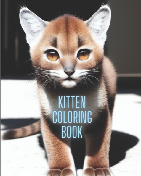 Kitten coloring book