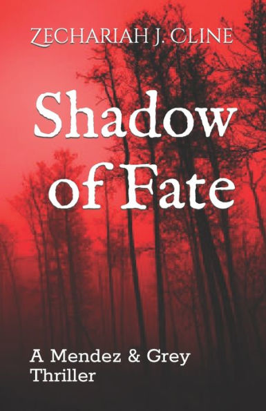 Shadow of Fate: A Mendez & Grey Thriller