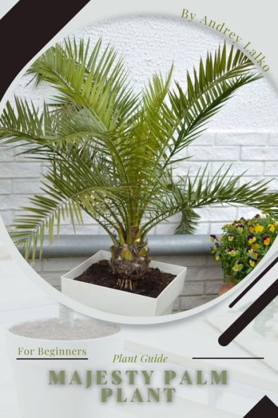 Majesty Palm Plant: Plant Guide