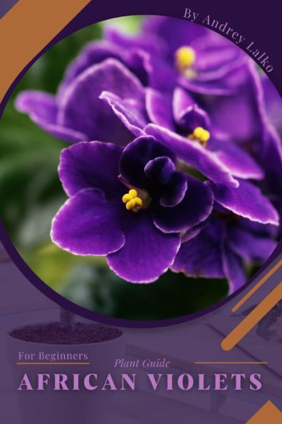 African Violets: Plant Guide