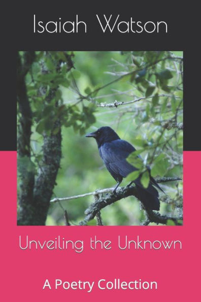 Unveiling the Unknown: A Poetry Collection
