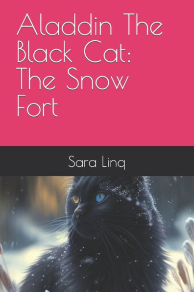 Aladdin The Black Cat: The Snow Fort