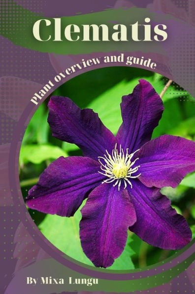 Clematis: Plant overview and guide