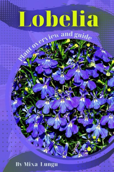 Lobelia: Plant overview and guide