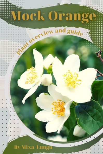 Mock Orange: Plant overview and guide