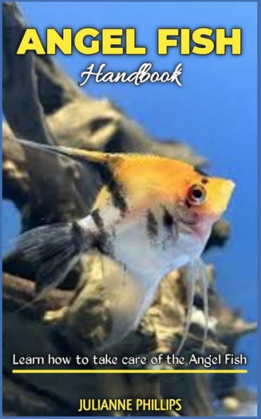 ANGEL FISH HANDBOOK: Learn how to take care of the Angel fish