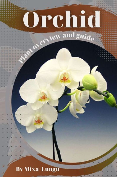 Orchid: Plant overview and guide