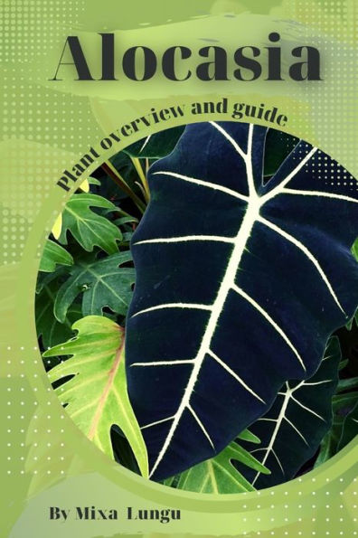 Alocasia: Plant overview and guide