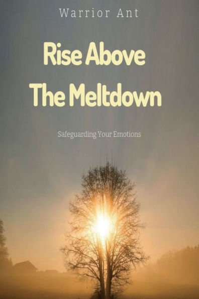 Rise Above The Meltdown: Safeguarding Your Emotions