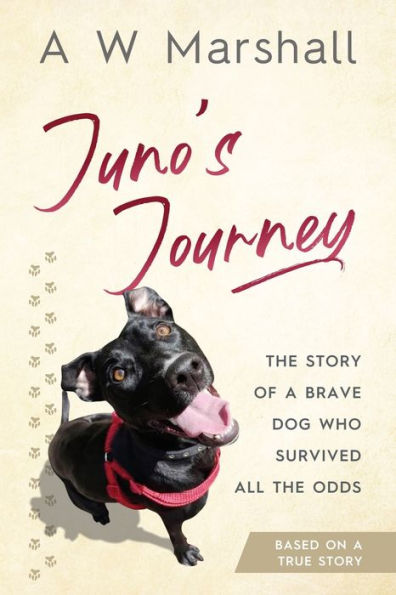 Juno's Journey