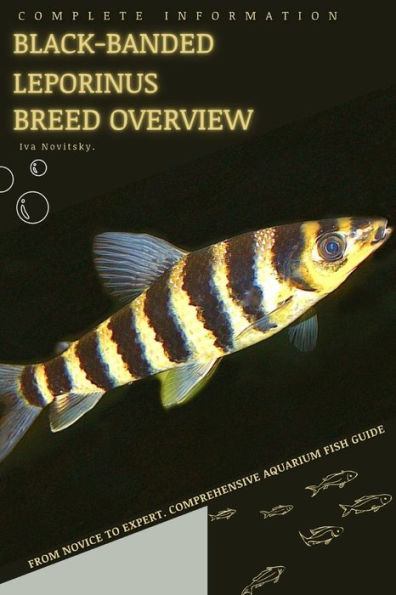 Black-banded leporinus: From Novice to Expert. Comprehensive Aquarium Fish Guide