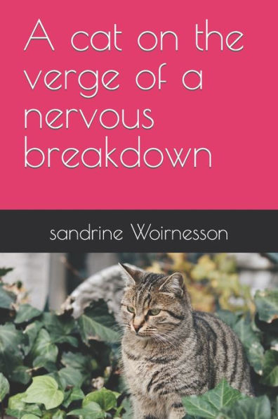 A cat on the verge of a nervous breakdown