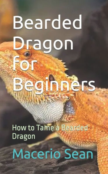 Bearded Dragon for Beginners: How to Tame a Bearded Dragon