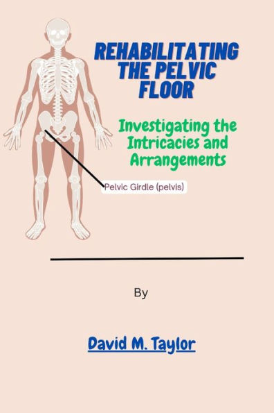 Rehabilitating The Pelvic Floor: Investigating the Intricacies and Arrangements