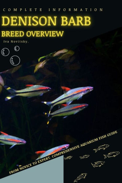 Denison Barb: From Novice to Expert. Comprehensive Aquarium Fish Guide