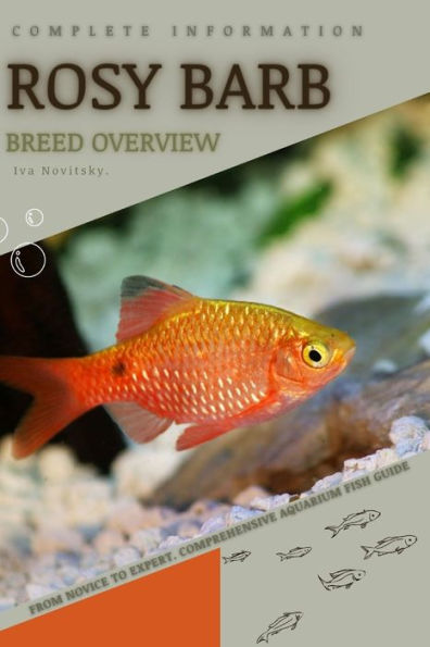 Rosy Barb: From Novice to Expert. Comprehensive Aquarium Fish Guide