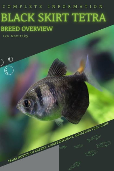 Black Skirt Tetra: From Novice to Expert. Comprehensive Aquarium Fish Guide