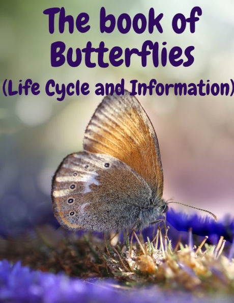 The book of Butterflies: (Life Cycle and Information)