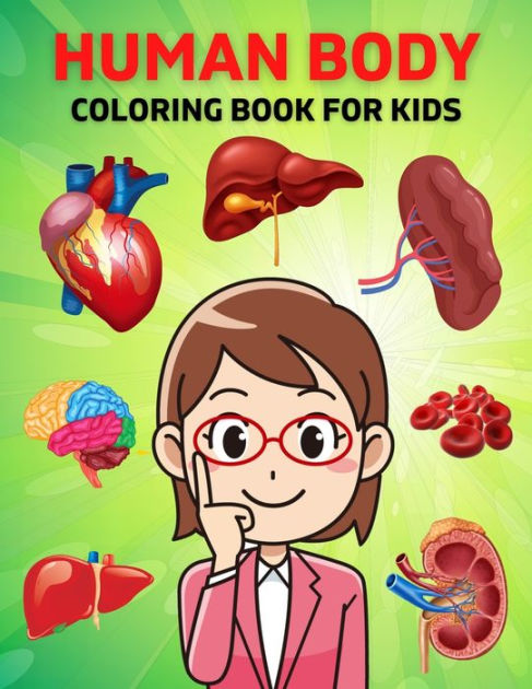 Human Body Coloring Book For Kids: Anatomy and physiology illustration ...