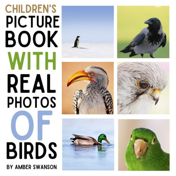 Children's Book With Real Photos Birds: Bird's Photo Picture Book For Children