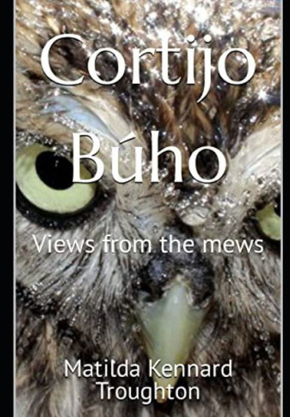 Cortijo Búho: Views from the mews