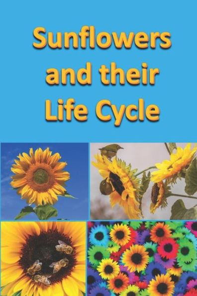 Sunflowers and their Life Cycle