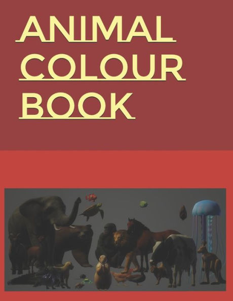 Animal Colour Book