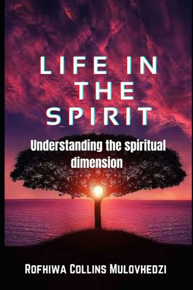 LIFE IN THE SPIRIT: understanding the spiritual dimension