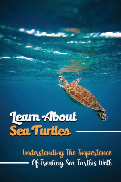 Learn About Sea Turtles: Understanding The Importance Of Treating Sea Turtles Well: