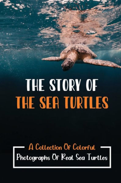 The Story Of The Sea Turtles: A Collection Of Colorful Photographs Of Real Sea Turtles: